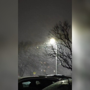 Во Владимире 19 марта началась метель