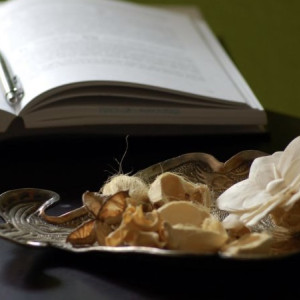 Кризис у близнецов и хороший день у скорпионов. Гороскоп на 28 декабря