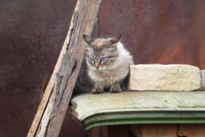 Прогноз погоды во Владимире и области на 6 декабря 2025 года