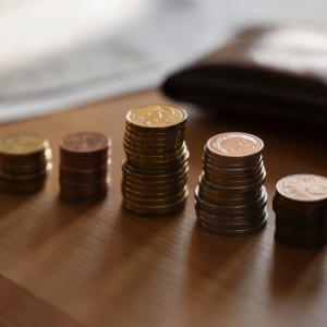 Во Владимирской области 9,3% жителей оказались за чертой бедности