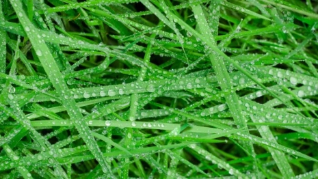 Прогноз погоды во Владимире и области на 18 апреля 2026 года