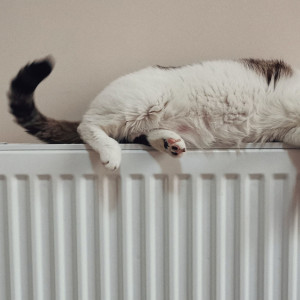 Появился график включения отопления во Владимире