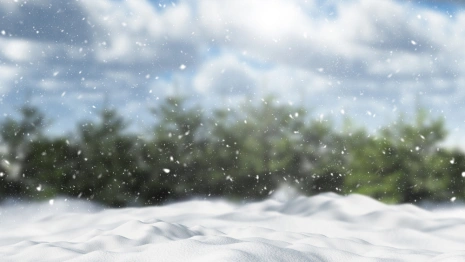 Прогноз погоды во Владимире и области на 21 февраля