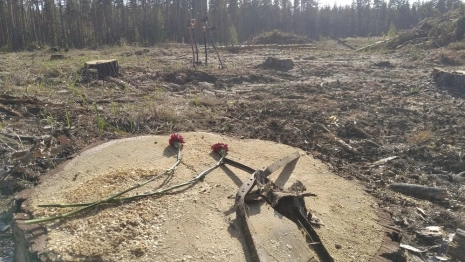 Во Владимирской области начался подъем советского истребителя с 8-метровой глубины