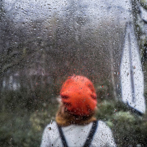 Владимирскую область зальет затяжными дождями