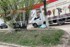 Во Владимире грузовик насмерть сбил 81-летнюю бабушку