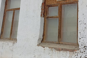 Бастрыкин заинтересовался судьбой жильцов дома с плесенью в Коврове
