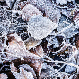 Прогноз погоды во Владимирской области на 17 ноября 2023 года