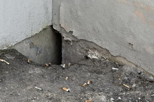 Во Владимире жильцов ветхих домов переселяли в квартиры с плесенью и вонью