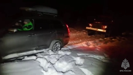 Владимирские спасатели вытащили застрявшую в лесу многодетную семью на кроссовере