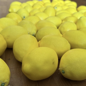 Во Владимире 21-летний парень с двумя подростками украли лимоны с инсталляции у кофейни