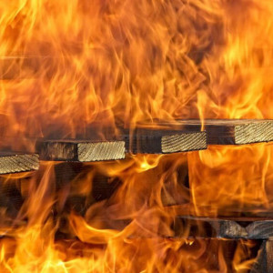 Высокую пожарную опасность продлили во Владимирской области до 1 июня