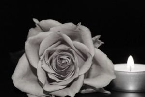 В зоне СВО погиб 23-летний парень из Гусь-Хрустального