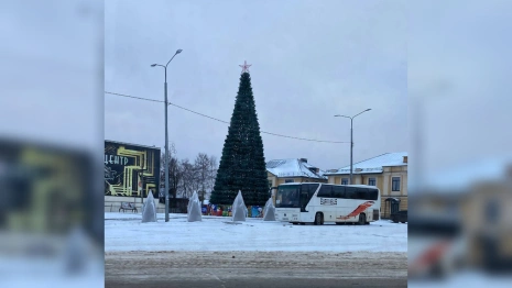 В Александрове поставили новогоднюю елку