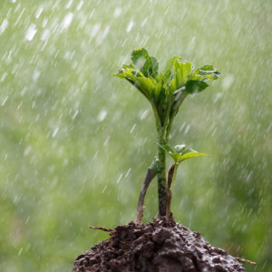 Прогноз погоды во Владимирской области 2 сентября
