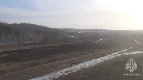 Во Владимире впервые с начала сезона загорелась сухая трава