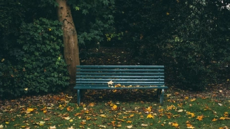 Жителей Владимира позвали на слушания по смене статуса парка Дружба