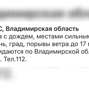 МЧС предупредило жителей Владимирской области о грозе и граде 22 июля