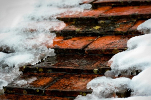 Жителям Владимирской области в выходные пообещали оттепель