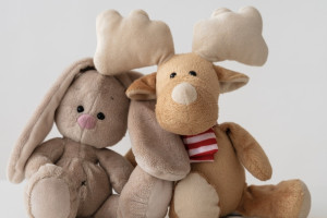 Жителя Гороховца будут судить за кражу 19 игрушек из автомата-хватайки