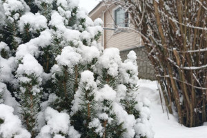 Прогноз погоды во Владимирской области на 27 декабря 2024 года