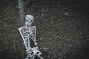 У конного клуба «Зеленая слобода» в Муромском районе нашли скелет мужчины