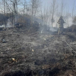 Во Владимирской области сгорели 20 га сухой травы