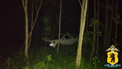 Во владимирском лесу нашли угнанную в Переславле иномарку ценой в 2 млн рублей