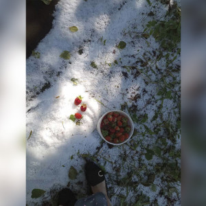 Во Владимире и за городом выпал град