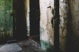 Во Владимирской области администрацию заставили снести заброшенный дом