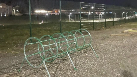 Во Владимире появится площадка для выгула домашних животных