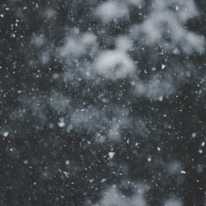 Прогноз погоды во Владимирской области на 25 февраля