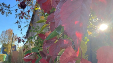 Прогноз погоды во Владимире и области на 3 октября