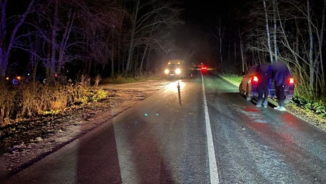 На трассе Владимир – Лунево иномарка сбила 8-летнего мальчика