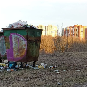 Во Владимирской области назвали 3 способа борьбы с захламленными мусорными площадками