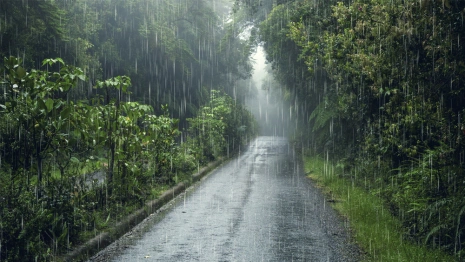 Синоптики предупредили о грозе с сильным ветром во Владимирской области 9 августа