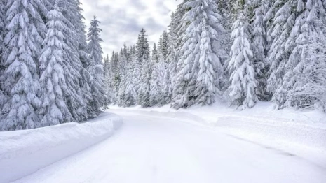 В ноябре во Владимирской области потерялись шестеро детей