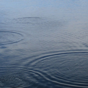 В Коврове у официального пляжа утонул человек