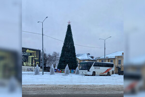 В Александрове поставили новогоднюю елку