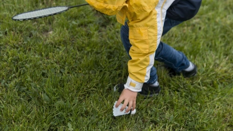В Коврове начали обработку общественных мест от клещей