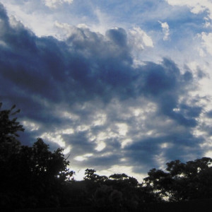 Прогноз погоды во Владимире и области на 25 апреля 2024 года