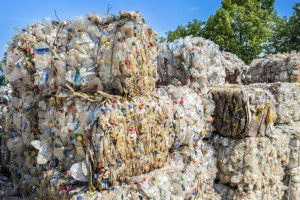 Бастрыкин поручил возбудить уголовное дело из-за опасного мусорного полигона под Киржачом