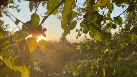 Прогноз погоды во Владимире и области на 24 мая