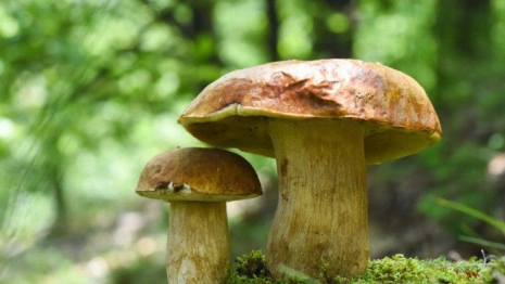 Тит Листопадник: что можно и нельзя делать 7 сентября