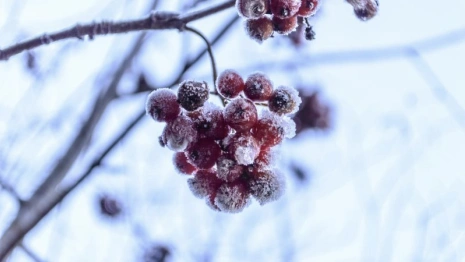 Прогноз погоды во Владимирской области на 12 января