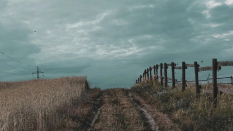 Во Владимирской области жители сел собрали почти 6 млн рублей на благоустройство