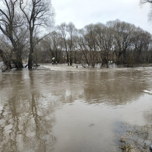 Во Владимирской области затопило 144 двора