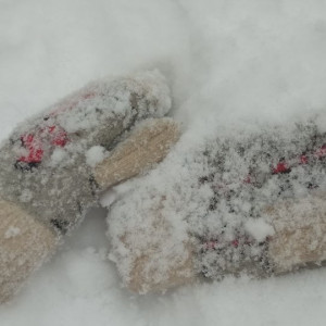 Прогноз погоды во Владимирской области на 5 марта 2026 года