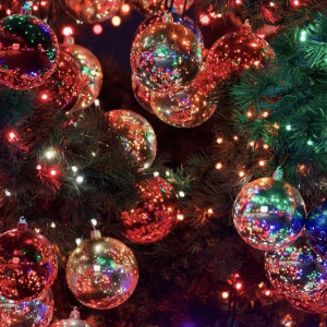 В Коврове появится 46 новогодних елок к началу зимы