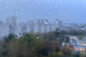 Во Владимирской области на неделе ожидается дождь и сильный ветер